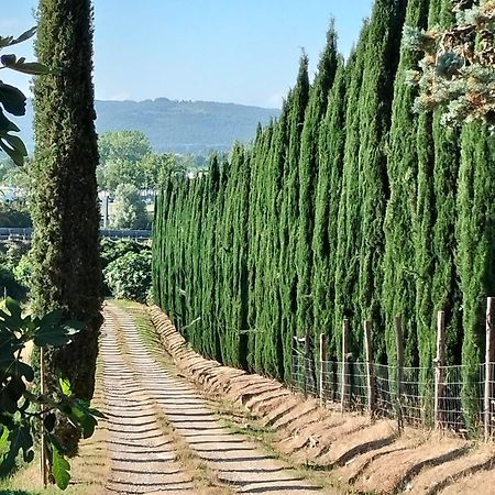 فيلا Camugnano Farm رابولانو تيرمي المظهر الخارجي الصورة
